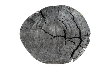 tree stump wood trunk Isolated background object wallpaper high quality texture pattern