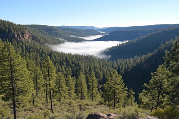 Fototapeta premium Early morning mist drapes over a tranquil valley surrounded by lush pine forests and rugged terrain