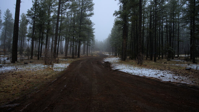 Spring Snow in the Mountains