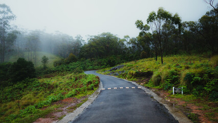 Eravikulam National Park, Munnar, Kerala, India