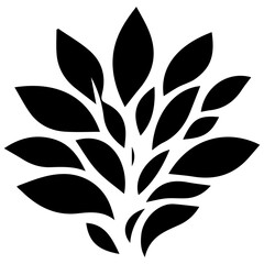 Black and white leaves artistic summer design for premium vector ideas