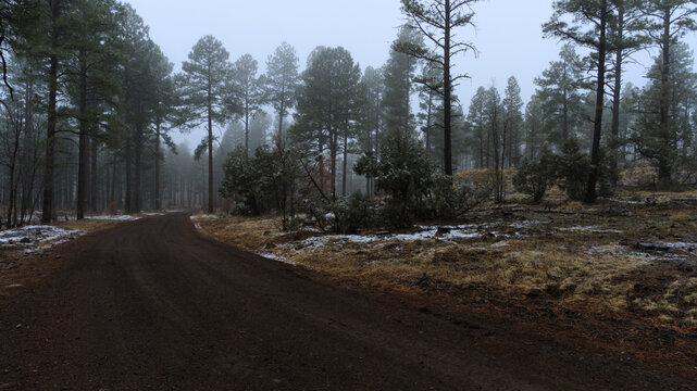 Spring Snow in the Mountains