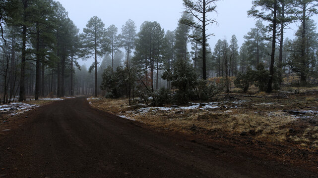 Spring Snow in the Mountains