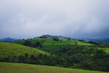Obraz premium Vagamon Meadows in Kerala, India.