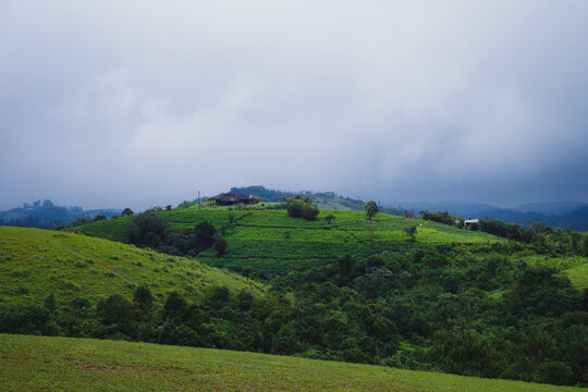 Vagamon Meadows in Kerala, India.