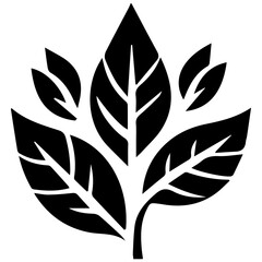 Stylish summer leaf vector for unique creative concepts