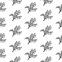 Fototapeta premium tea leaves pattern background. green leaves vector pattern background. Green tea leaf seamless pattern. seamless patterns with green leaves of tea.