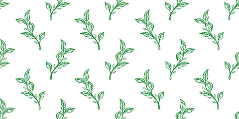 tea leaves pattern background. green leaves vector pattern background. Green tea leaf seamless pattern. seamless patterns with green leaves of tea.