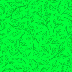 tea leaves pattern background. green leaves vector pattern background. Green tea leaf seamless pattern. seamless patterns with green leaves of tea.