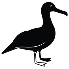 Albatross set silhouette vector illustration, Albatross vector design, albatross line art silhouette vector illustration, albatross silhouette line art vector illustration, albatross silhouette vector