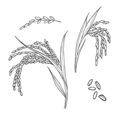 Doodle rice ears cereals set. Hand drawn rice sketches
