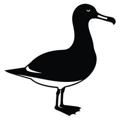 Albatross set silhouette vector illustration, Albatross vector design, albatross line art silhouette vector illustration, albatross silhouette line art vector illustration, albatross silhouette vector