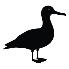 Albatross set silhouette vector illustration, Albatross vector design, albatross line art silhouette vector illustration, albatross silhouette line art vector illustration, albatross silhouette vector