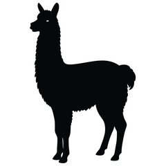 llama cartoon illustration vector design, Stylish llama silhouette set for creative artistic purposes, Llama illustration, minimalist llama vector, alpaca silhouette vector illustration, alpaca.
