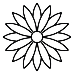 Fototapeta premium An aster flower icon with thin radiating petals.