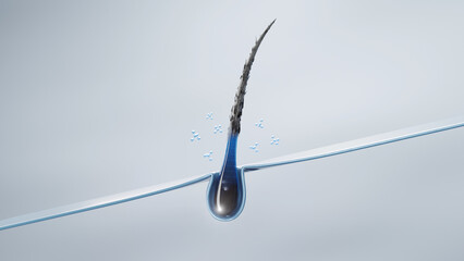 3D illustration of a hair follicle treated with nourishing molecules, representing advanced dermocosmetic innovation and deep care.
