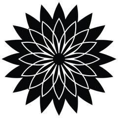 Fototapeta premium An aster flower icon with thin radiating petals.