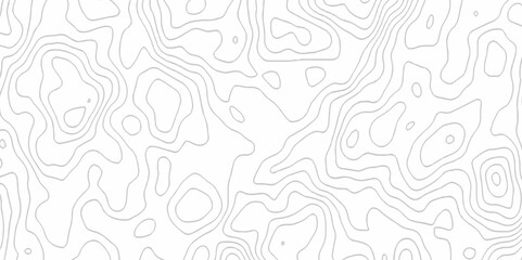 White topography topology vector white background fresh contour map texture. white seamless pattern Abstract background with a wave Topography and geography map grid abstract backdrop.