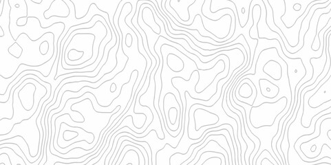White topography topology vector white background fresh contour map texture. white seamless pattern Abstract background with a wave Topography and geography map grid abstract backdrop.