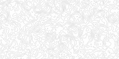 White topography topology vector white background fresh contour map texture. white seamless pattern Abstract background with a wave Topography and geography map grid abstract backdrop.
