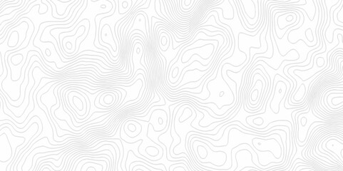 White topography topology vector white background fresh contour map texture. white seamless pattern Abstract background with a wave Topography and geography map grid abstract backdrop.