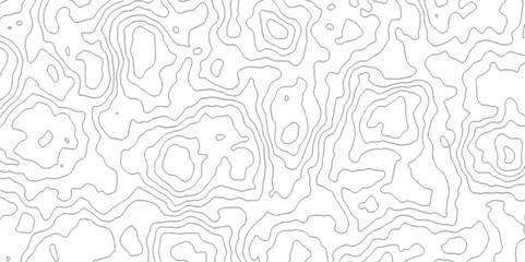 White topography topology vector white background fresh contour map texture. white seamless pattern Abstract background with a wave Topography and geography map grid abstract backdrop.