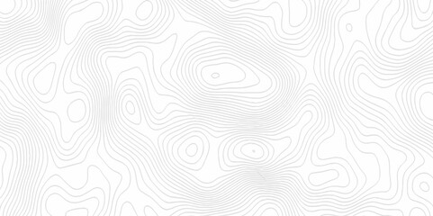 Fototapeta premium White topography topology vector white background fresh contour map texture. white seamless pattern Abstract background with a wave Topography and geography map grid abstract backdrop.