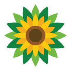 Fototapeta premium sunflower isolated on white background