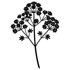 Fototapeta premium A yarrow flower icon with tiny blossoms forming.