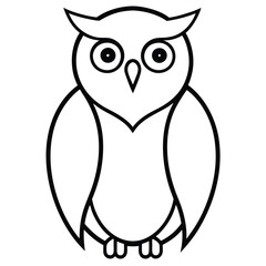 owl on white background