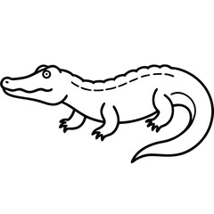 crocodile isolated on white background