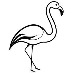 flamingo silhouette isolated on white
