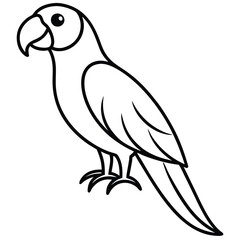vector illustration of a parrot