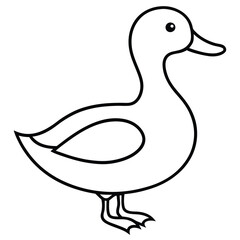 duck isolated on white background