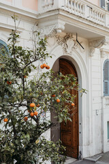 Oranges in Rome, Italy