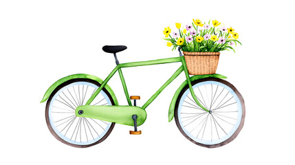 Fototapeta premium Watercolor painting of green bicycle with a basket full of flowers isolated on white background