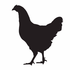 Chicken silhouette