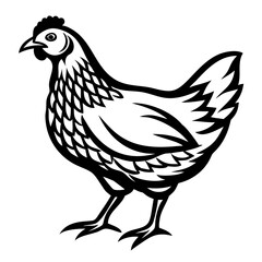 Chicken silhouette