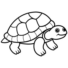 turtle vector illustration