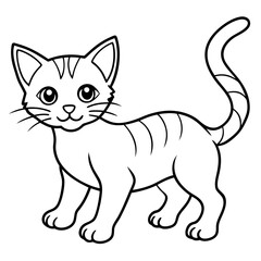 cute cat