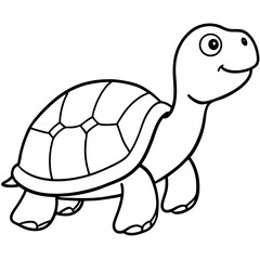 vector illustration of turtle