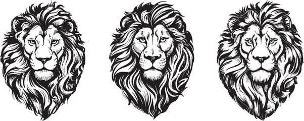 Three stylized lion head portraits, rendered in a classic vintage/tattoo-inspired black and white line art. © Hayat Khan