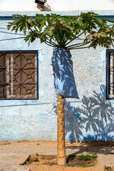 scène dans une rue de Dakar au Sénégal en Afrique © Pierre Laborde 