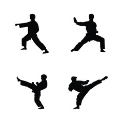Black Silhouette of Karate Fighter in Action Kicks, Punches & Kata Stance