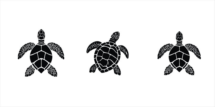 turtles vector silhouette set illustration on white background. turtles black icon.