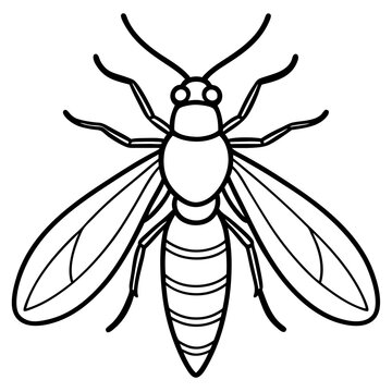 black and white wasp outline clip art preview