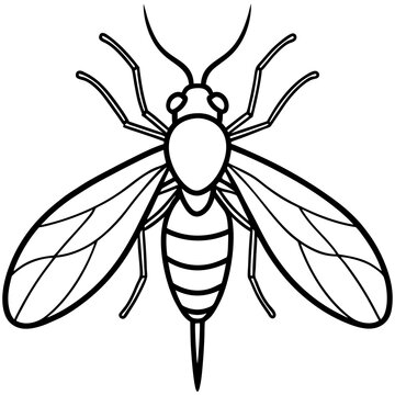 black and white wasp outline clip art preview
