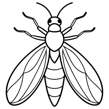 black and white insect outline clip art preview