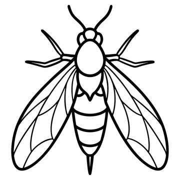 black and white insect outline clip art preview