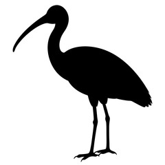Obraz premium Heron silhouette isolated on white
